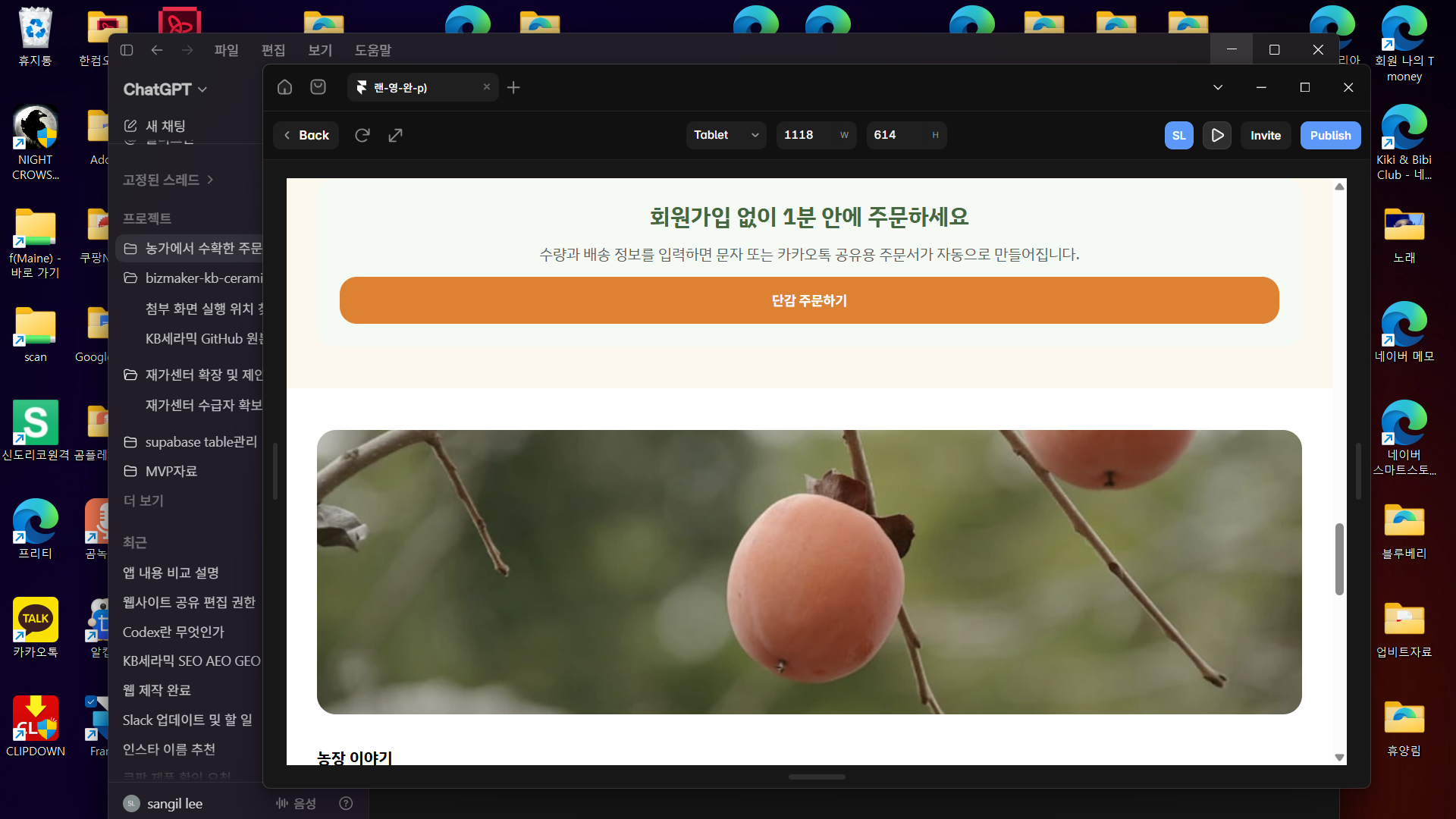 나무에 열린 단감